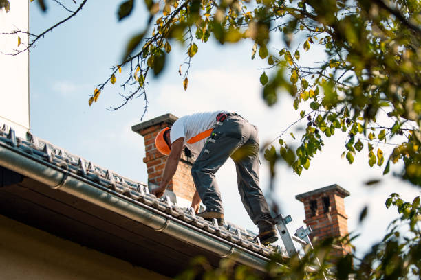 Roof Gutter Cleaning in Bluefield, VA