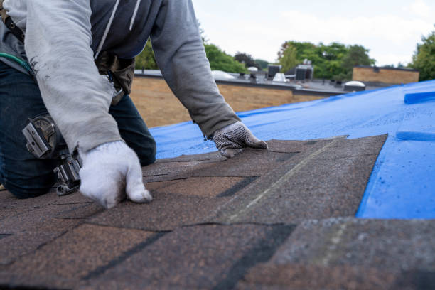 Best Roof Gutter Cleaning  in Bluefield, VA